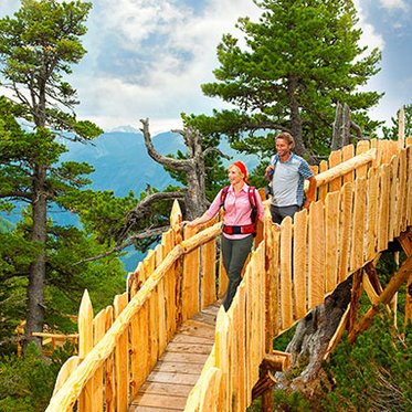 Zwei Wanderer begehen den Zirbenweg am Graukogel, auf gleicher Höhe mit den Baumwipfeln, in Gastein