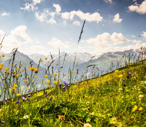 Panoramabild vom Gasteinertal im Sommer