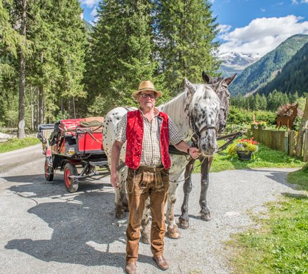 Fiaker mit seiner Pferdekutsche im Gasteinertal
