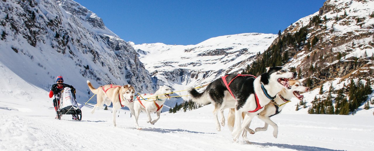 Hundeschlittenfahrt in Sportgastein