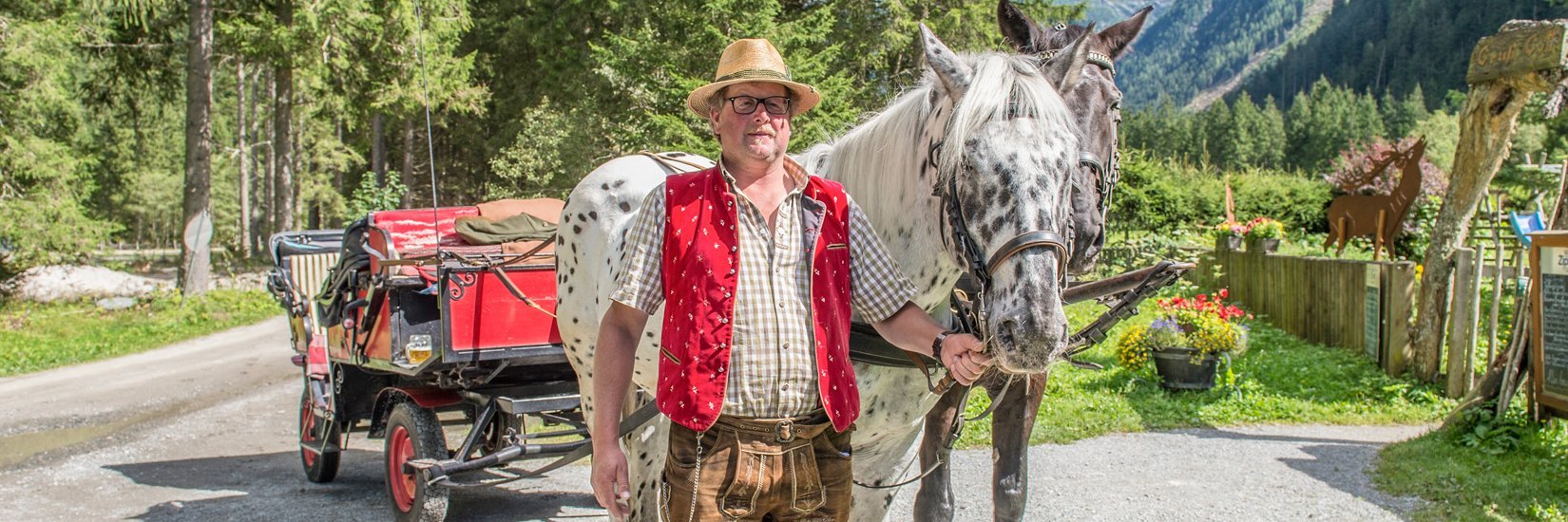 Fiaker mit seiner Pferdekutsche im Gasteinertal