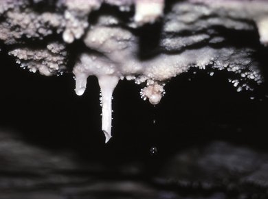02 Schauhöhle Entrische Kirche - Dorfgastein, Sint