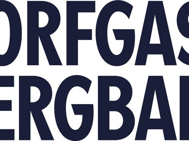 dorfgasteiner-bergbahnen-logo-nachtblau