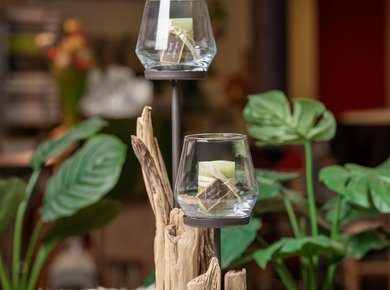 Windlicht Schwemmholz